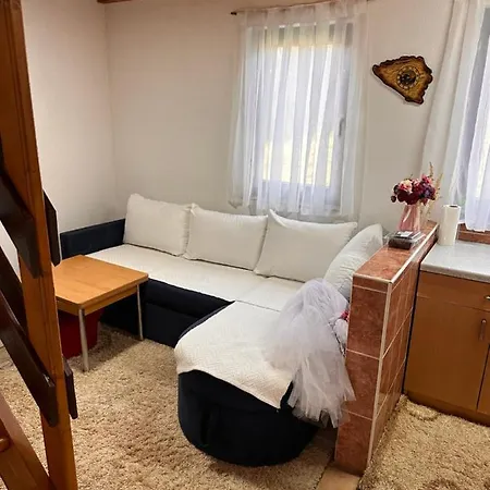 Ferienhaus Vikendica House *