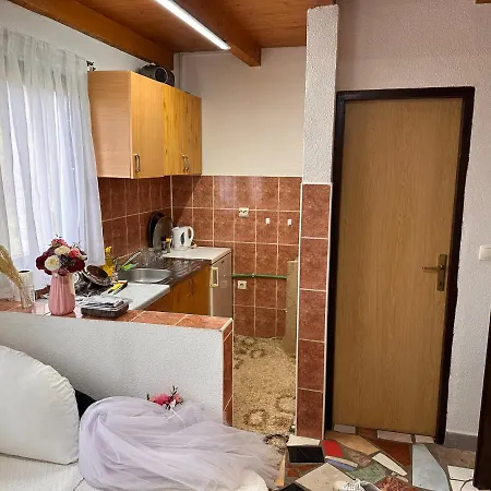 Ferienhaus Vikendica House