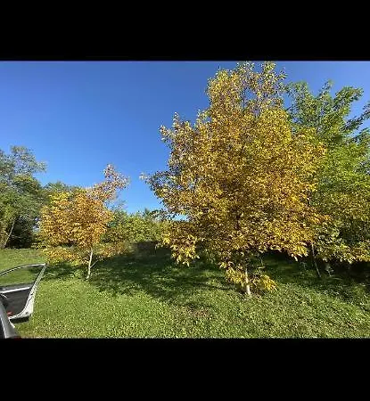 Ferienhaus Vikendica House *